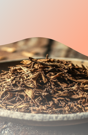 Кто завез табак в Россию