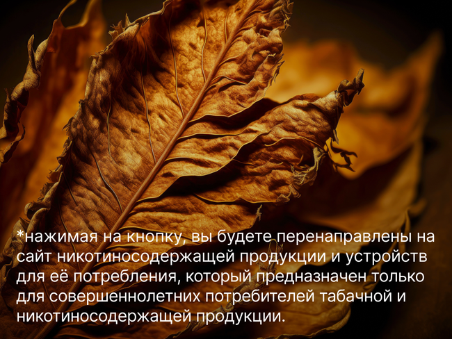 Из чего состоит сигарета