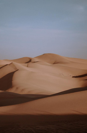 Мировая премьера «Дюны» пройдет на Венецианском кинофестивале