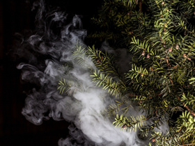 Переход на вейпинг может спасти тысячи жизней