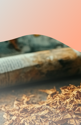 Кто и как придумал курить табак