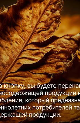 Из чего состоит сигарета