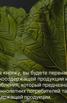 Как бросить курить заядлому курильщику: самые неожиданные способы, о которых вы могли не знать