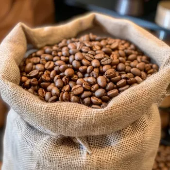 Как хранить кофе дома: решения, проверенные на практике