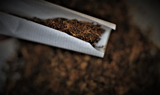 Территории выращивания табака в России