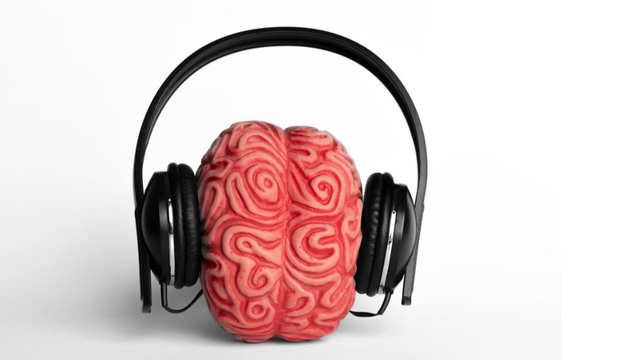 Как музыка влияет на мозг с нейробиологической перспективы